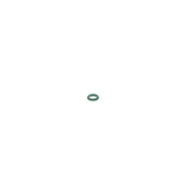 Bosch Sealing Ring Gasket