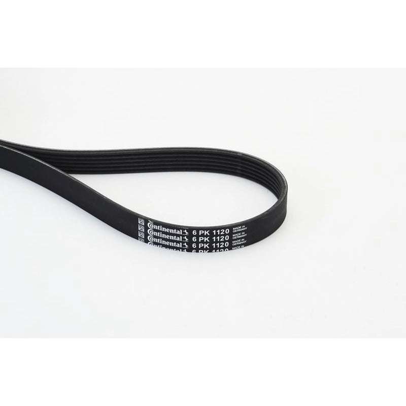 Continental CTAM Multi V-Ribbed Drive Belt fits Audi A3 1996-2013