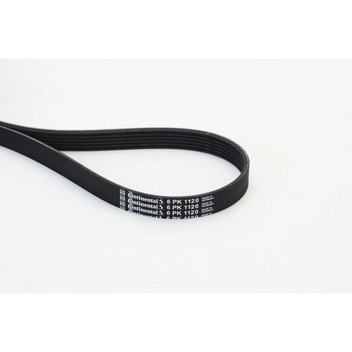 Continental CTAM Multi V-Ribbed Drive Belt fits Audi A3 1996-2013