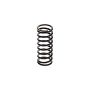 Bosch Compression Spring