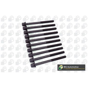 BGA Cylinder Head Bolt Set M11 BK4388