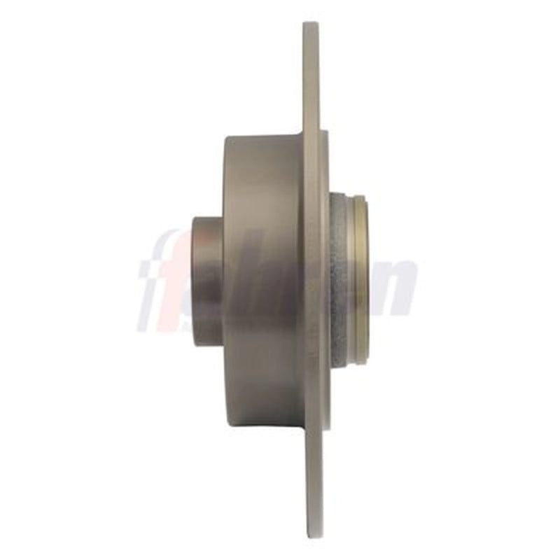 Fahren 2 x Solid Rear Brake Discs FBD6665-x2