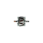 Bosch Alternator Rotor