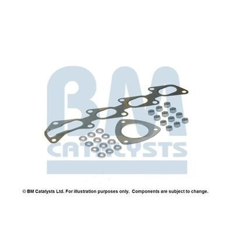 BM Catalysts Fitting Kit FK91019B FK91019B