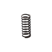 Bosch Compression Spring