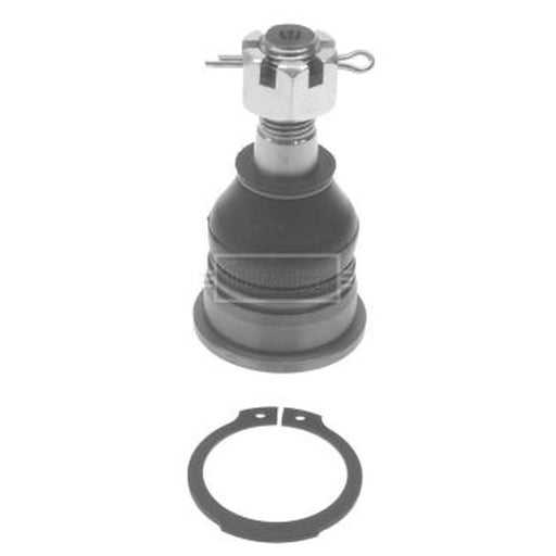 Borg & Beck Ball Joint Lower BBJ5303