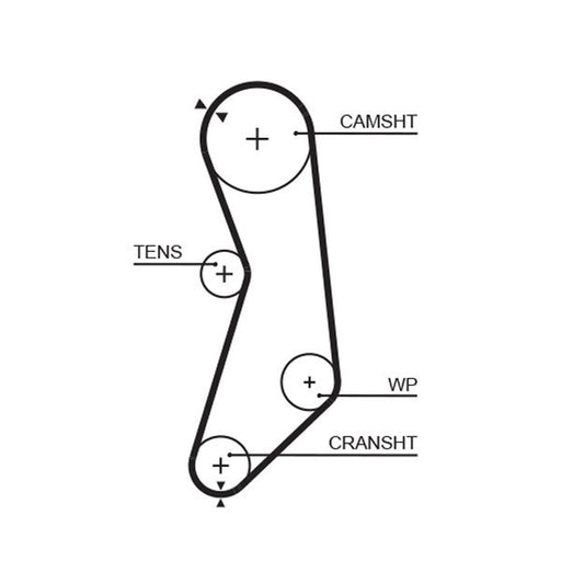 Gates Timing Belt Cambelt 110 Teeth fits Nissan Micra I 1986-1992 1.2