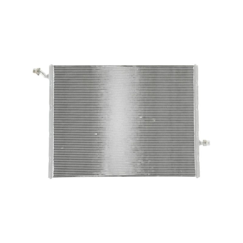 Hella Engine Radiator Front 8MK 366 304-241