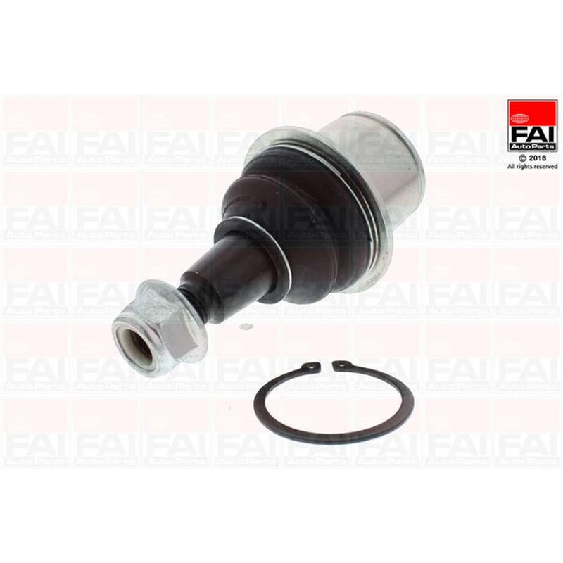 FAI 2 x Ball Joints