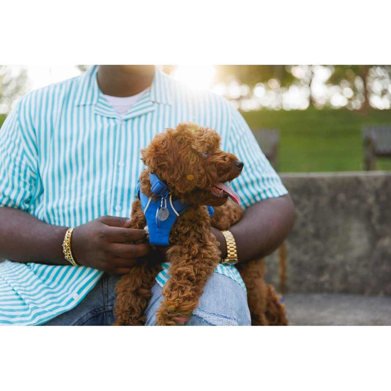 Ruffwear Front Range Dog Harness in Blue Pool (L / XL) Ruffwear - Dynamic Drive