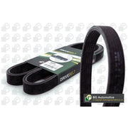 BGA Multi V-Ribbed Drive Belt 6DPK1188
