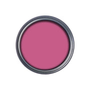 Ronseal Garden Paint Pink Jasmine 250ml Ronseal - Dynamic Drive
