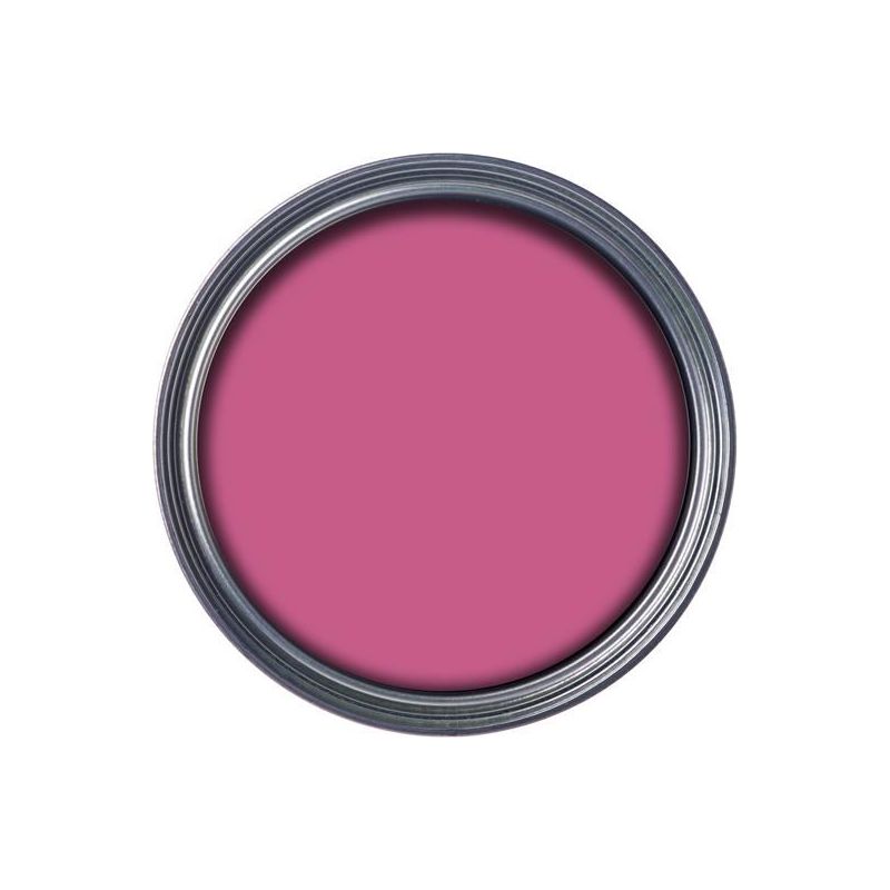 Ronseal Garden Paint Pink Jasmine 250ml Ronseal - Dynamic Drive