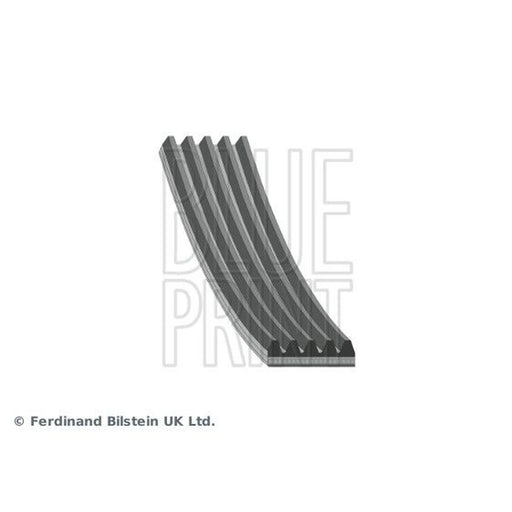 Blue Print Multi V-Ribbed Drive Belt AD05R946