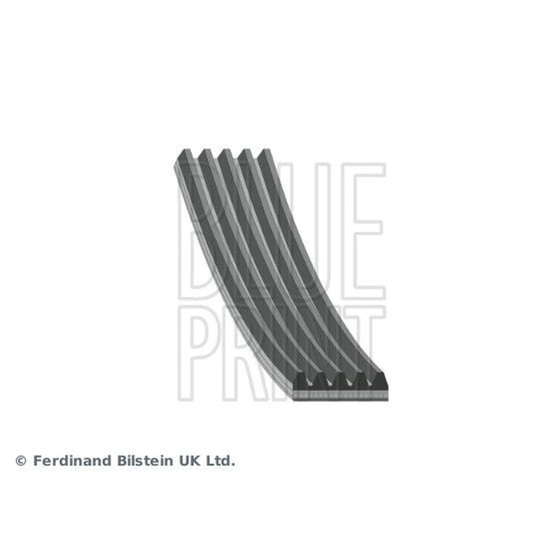 Blue Print Multi V-Ribbed Drive Belt AD05R946