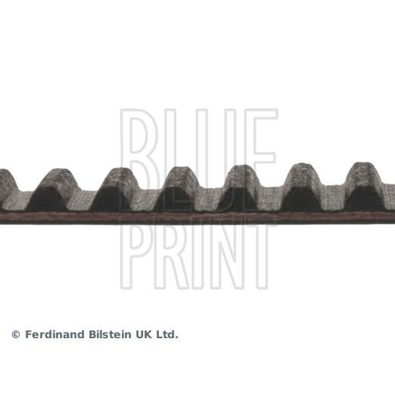 Blue Print Timing Belt Cambelt 220 Teeth fits Chrysler Voyager 2000-2008 2.5 2.8
