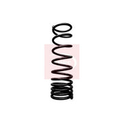 Apec Rear Suspension Coil Spring ACS1791