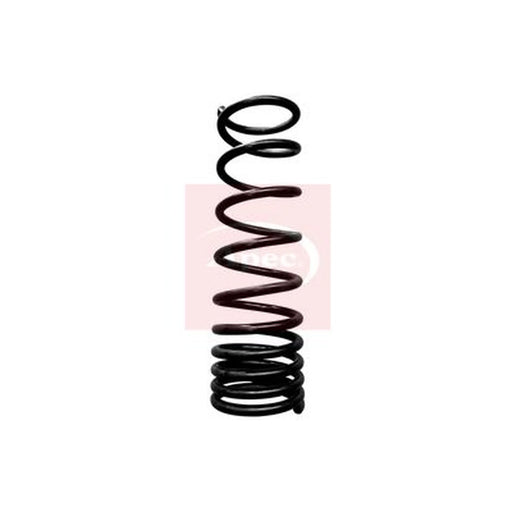 Apec Rear Suspension Coil Spring ACS1791