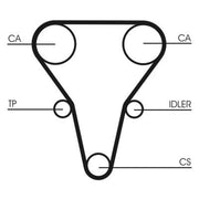 Continental CTAM Timing Belt Cambelt 137 Teeth fits Kia Carens I 2002-2006 1.6