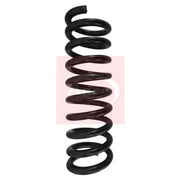 Apec Front Suspension Coil Spring ACS1602