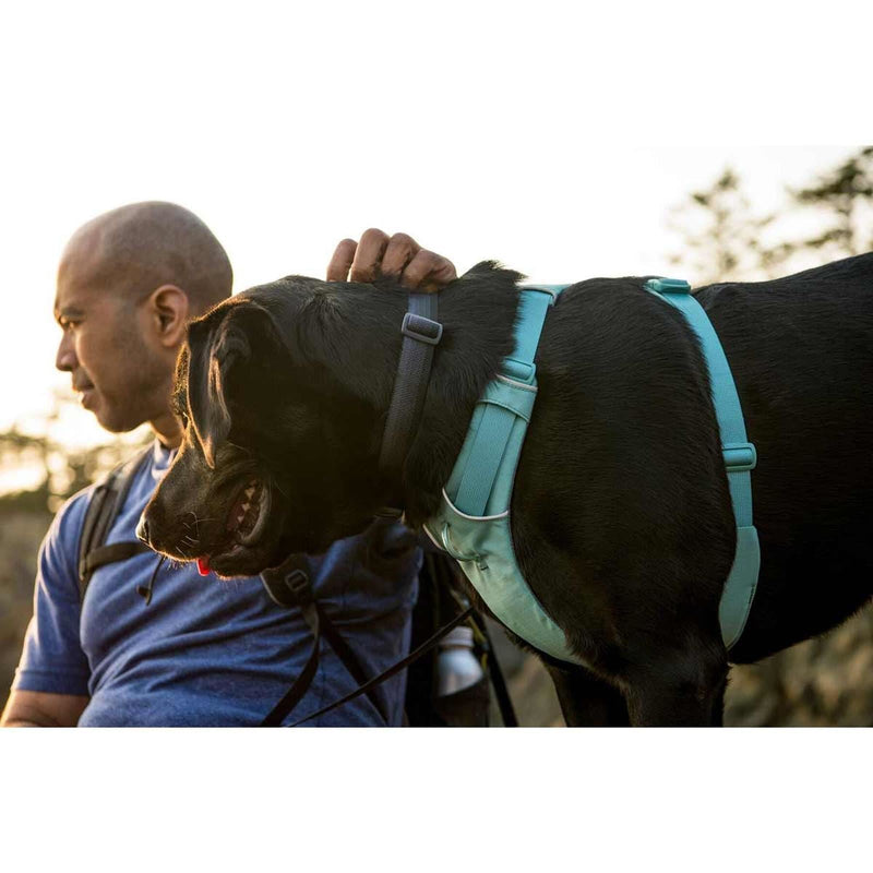 Ruffwear Front Range Dog Harness in River Rock Green (Medium) Ruffwear - Dynamic Drive