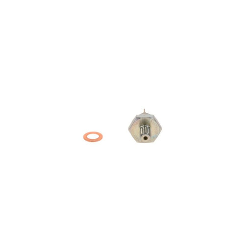Bosch Oil Pressure Sensor Switch