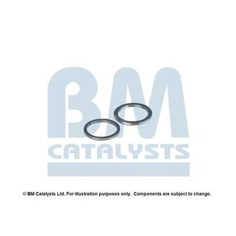BM Catalysts Fitting Kit FK80320A FK80320A