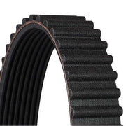 Continental CTAM Timing Belt Cambelt 71 Teeth fits Seat Terra 1990-1995 1.3 1.4