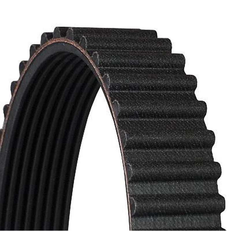 Continental CTAM Timing Belt Cambelt 71 Teeth fits Seat Terra 1990-1995 1.3 1.4