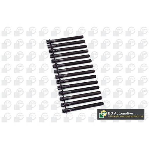 BGA Cylinder Head Bolt Set M10 fits BMW 3 1991-2007