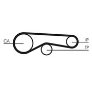 Continental CTAM Timing Belt Cambelt 85 Teeth fits Citroën C5 III 2008-2009 2.7
