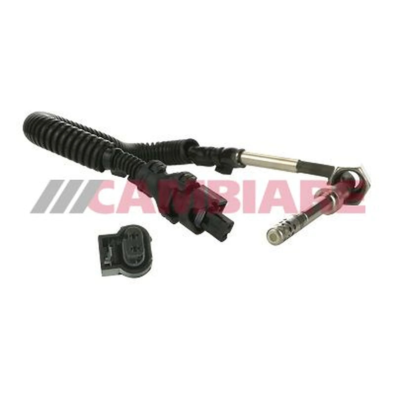 Cambiare Exhaust Gas Temperature Sensor VE390210