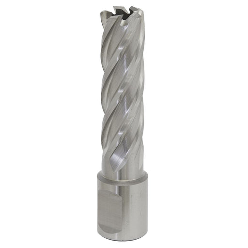 Sealey Rotabor Cutter HSS16mm Cut Depth 50mm RBHSS16L Sealey - Dynamic Drive