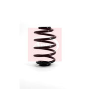 Apec Front & Rear Suspension Springs fits Renault Clio 1998-2016 1.2