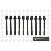 BGA Cylinder Head Bolt Set M10 BK2702