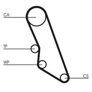 Continental CTAM Timing Belt Cambelt 114 Teeth fits Citroën Relay I 1994-2002
