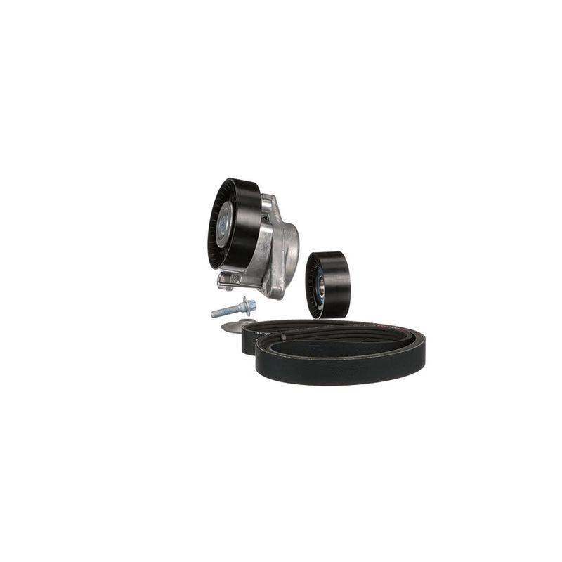 Gates V-Ribbed Belt Set K036PK2448