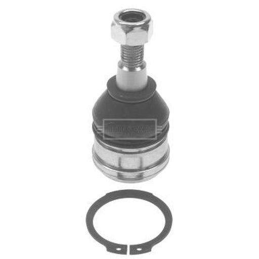 Borg & Beck Ball Joint Lower BBJ5543