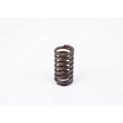 Bosch Compression Spring