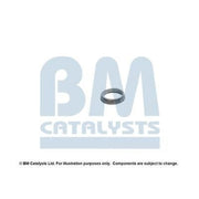 BM Catalysts Fitting Kit FK92879A FK92879A
