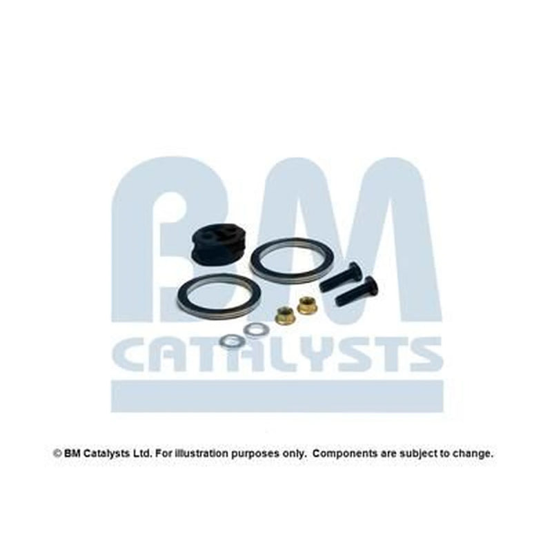 BM Catalysts Fitting Kit FK80299C FK80299C