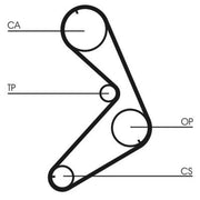 Continental CTAM Timing Belt Cambelt 118 Teeth fits Peugeot 505 1981-1993 2.2