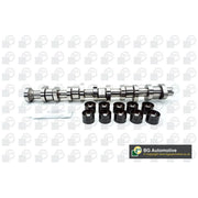BGA Camshaft Kit Set With Bearings Intake Side CS9650K