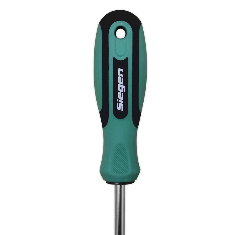 Sealey Screwdriver Pozi #2 x 100mm S01186 Siegen by Sealey - Dynamic Drive