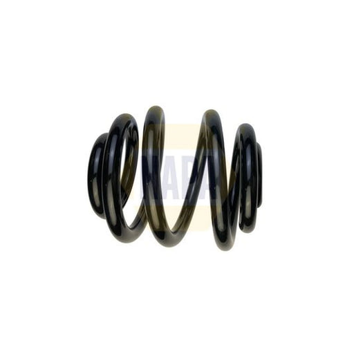 NAPA Rear Suspension Coil Spring NCS1980