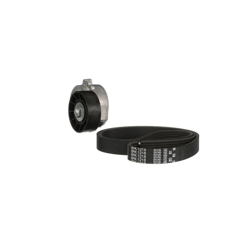 Gates V-Ribbed Belt Set fits Citroën C4 2004-2010 2.0
