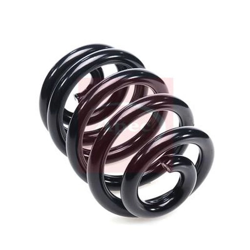 Apec Rear Suspension Coil Spring ACS2437