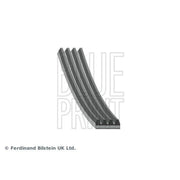 Blue Print Multi V-Ribbed Drive Belt AD04R1600