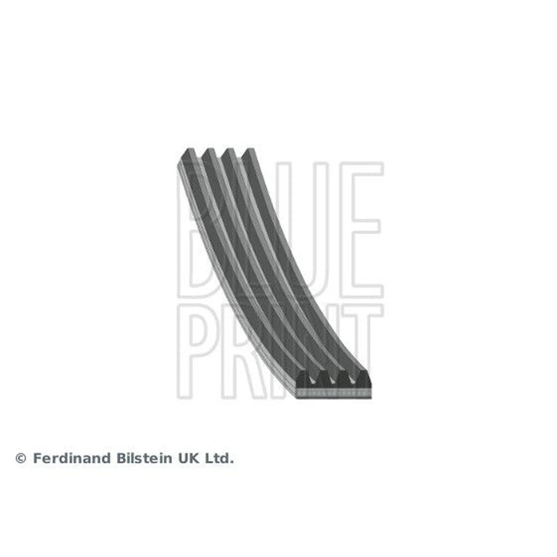 Blue Print Multi V-Ribbed Drive Belt AD04R1590