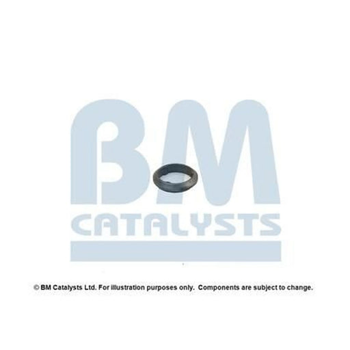 BM Catalysts Fitting Kit FK80056A FK80056A